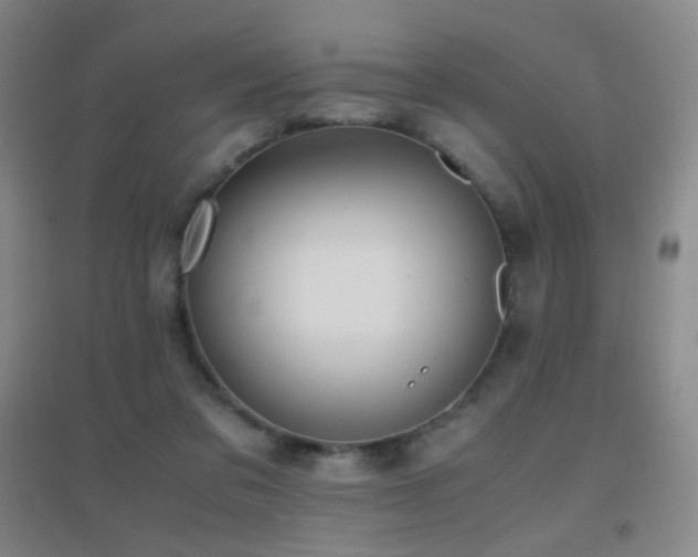 X0000096730309200802051447