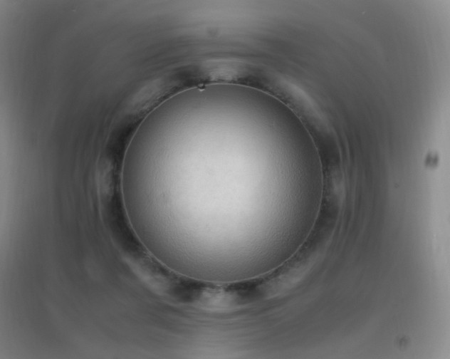 X0000096730311200802051447
