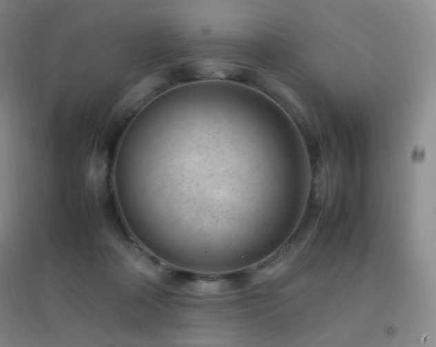 X0000096730314200802051447