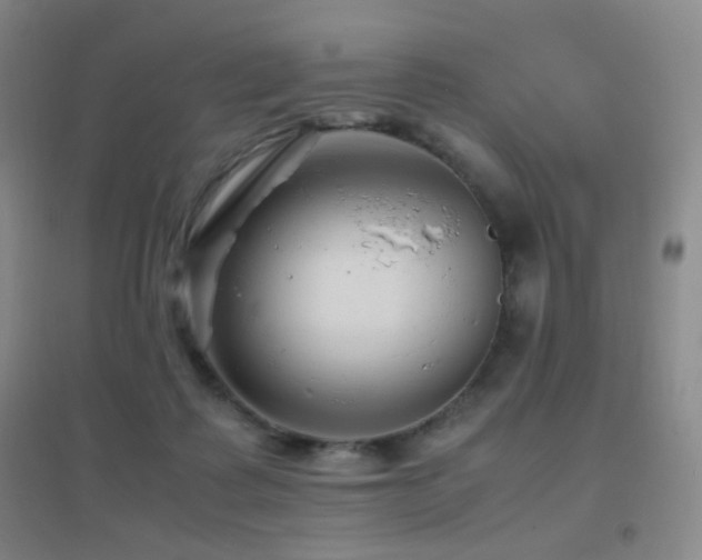 X0000096730315200802051447