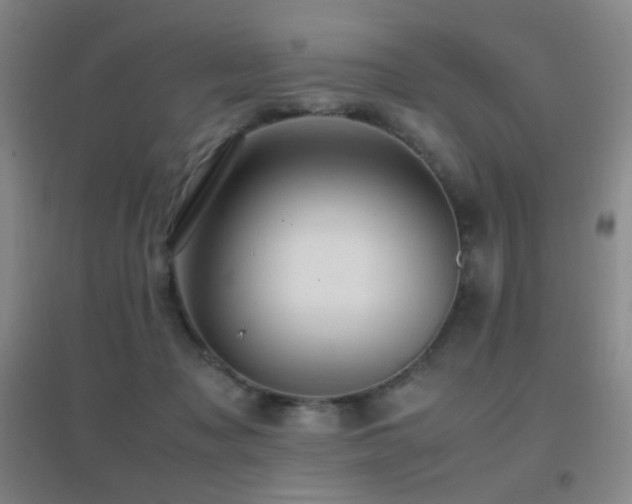 X0000096730317200802051446