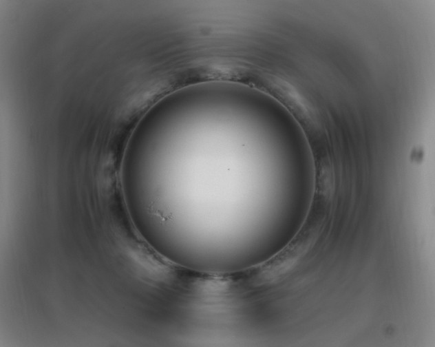 X0000096730318200802051446