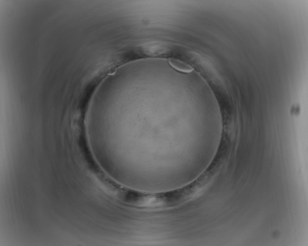 X0000096730319200802051446