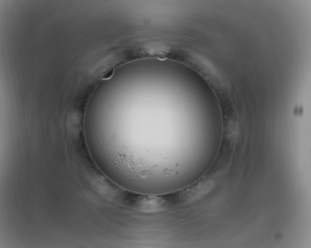 X0000096730321200802051446