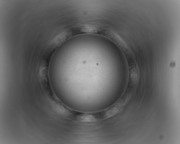 X0000096730322200802051446