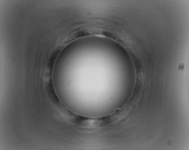 X0000096730323200802051446