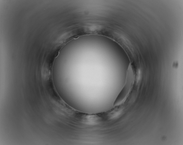 X0000096730324200802051446