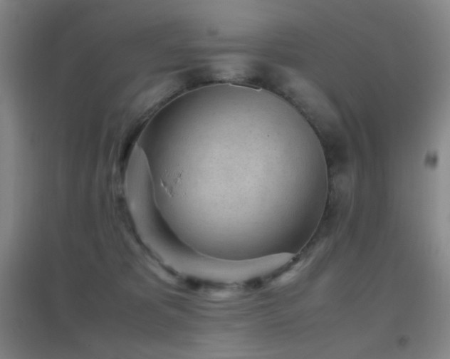 X0000096730325200802051446
