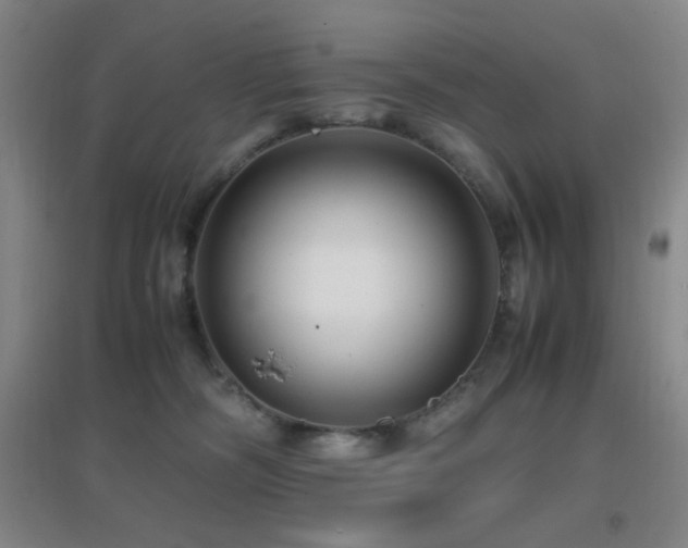 X0000096730326200802051446