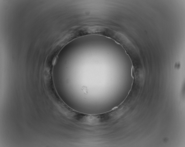 X0000096730327200802051446