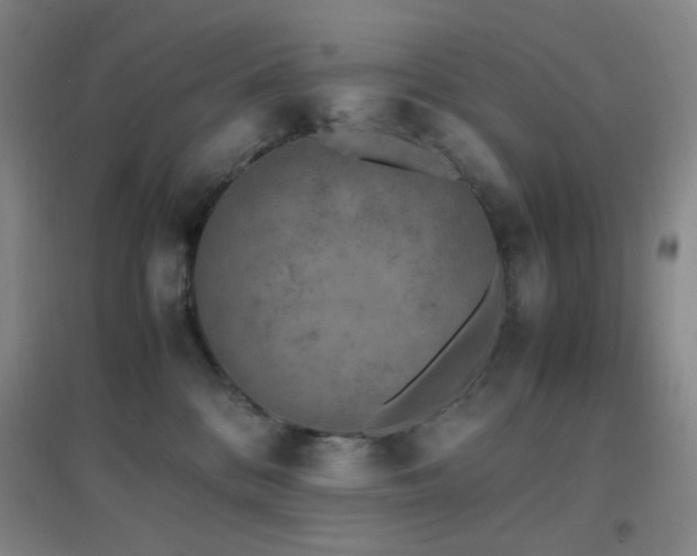 X0000096730328200802051446