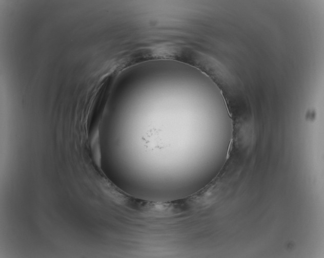 X0000096730329200802051446