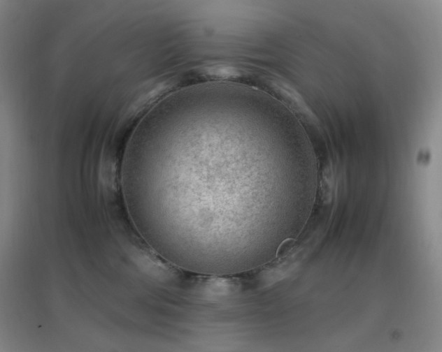 X0000096730330200802051446