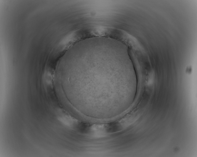 X0000096730332200802051446