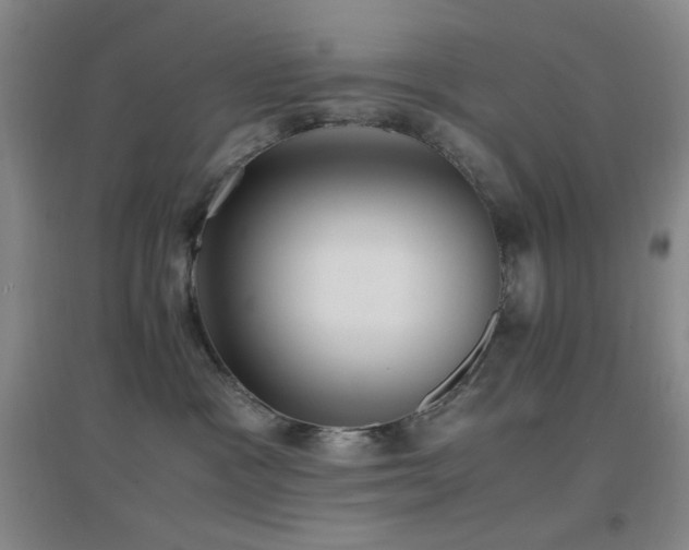 X0000096730333200802051446