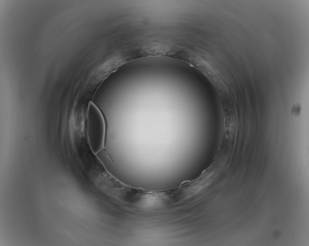 X0000096730334200802051446