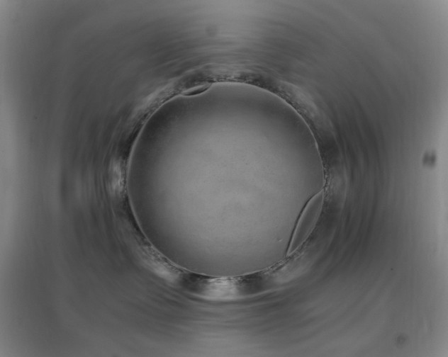 X0000096730335200802051446