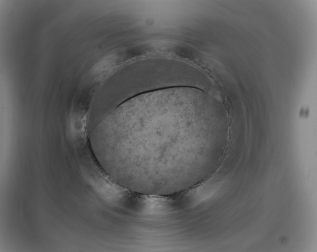 X0000096730336200802051446