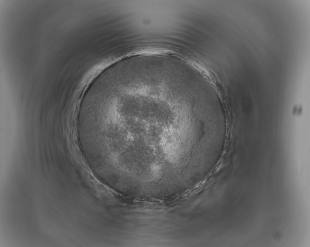 X0000096730337200802051445