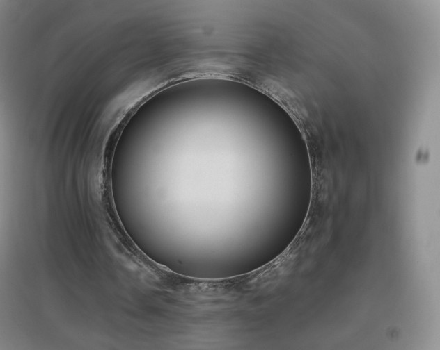 X0000096730338200802051445