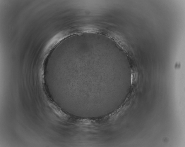 X0000096730339200802051445