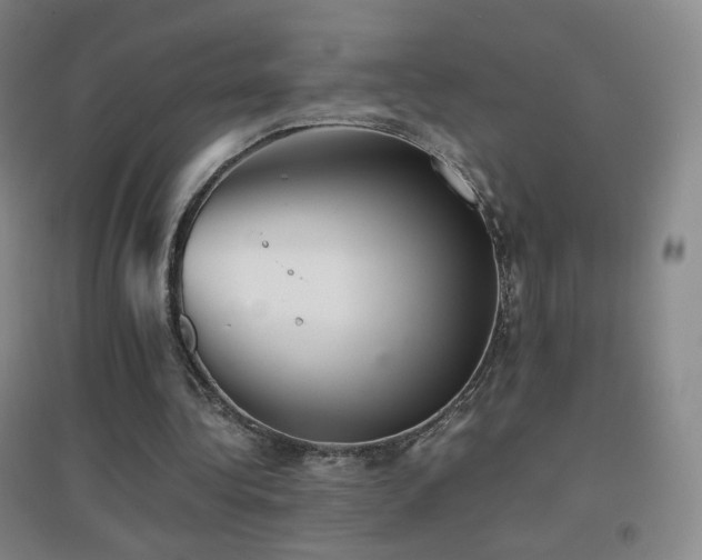 X0000096730340200802051445