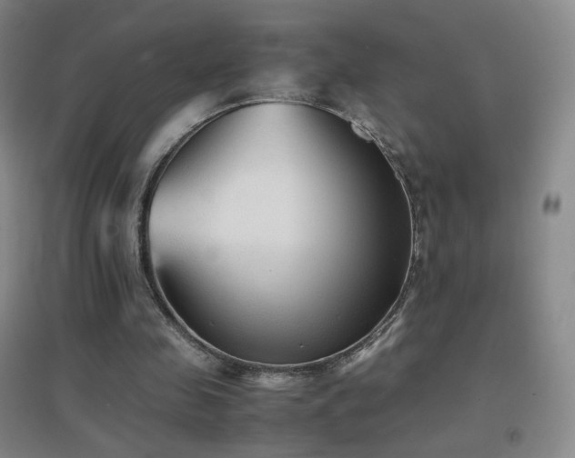 X0000096730341200802051445