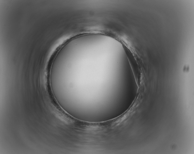 X0000096730342200802051445