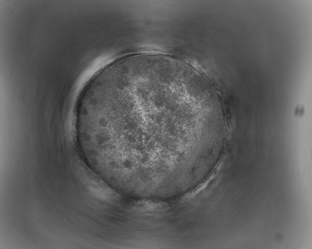 X0000096730343200802051445