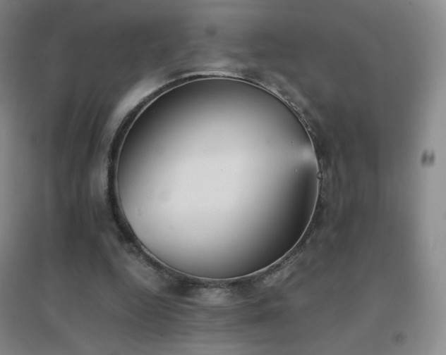 X0000096730344200802051445