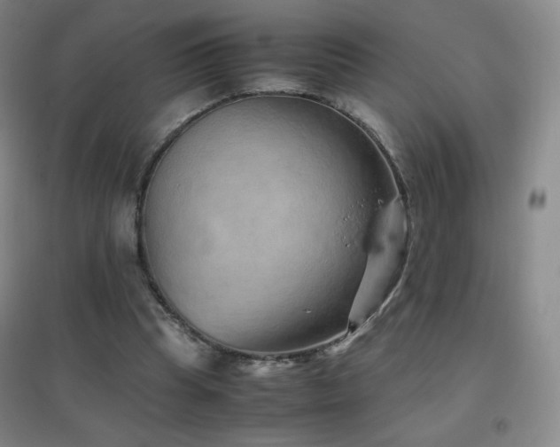 X0000096730345200802051445
