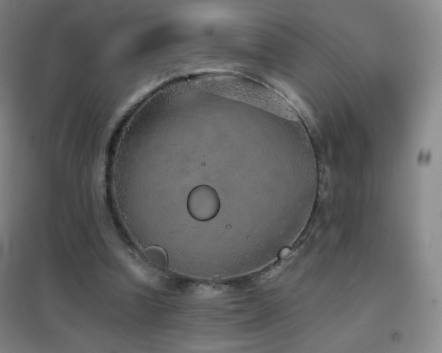 X0000096730346200802051445