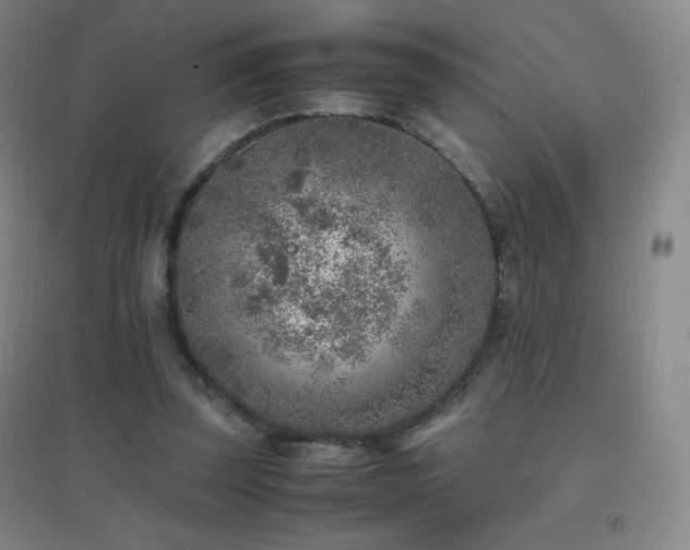 X0000096730347200802051445