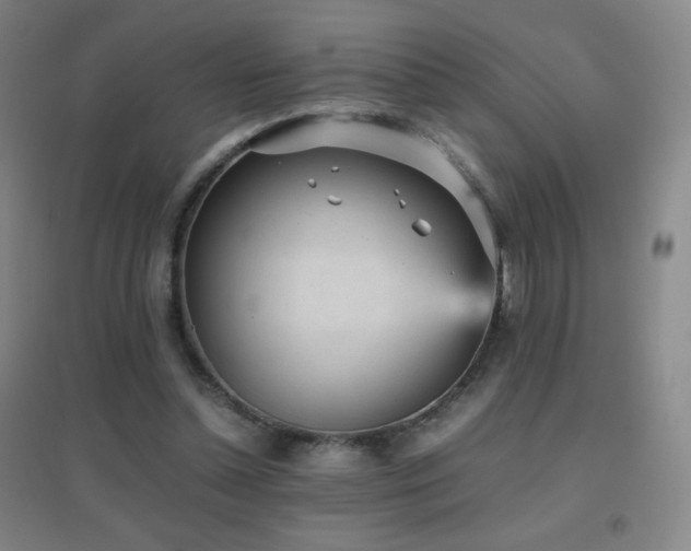 X0000096730348200802051445