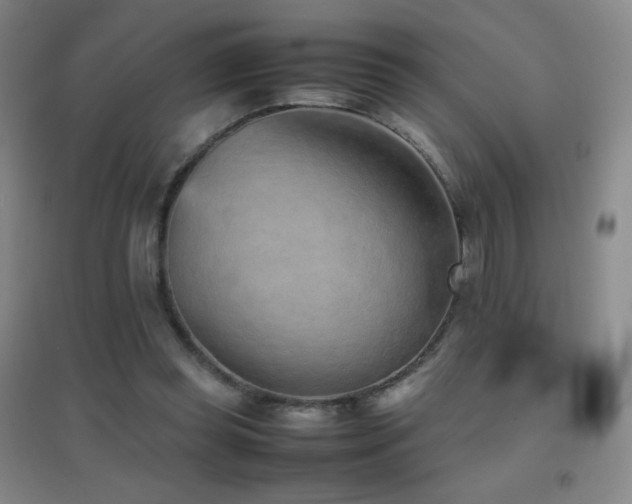 X0000096730349200802051445