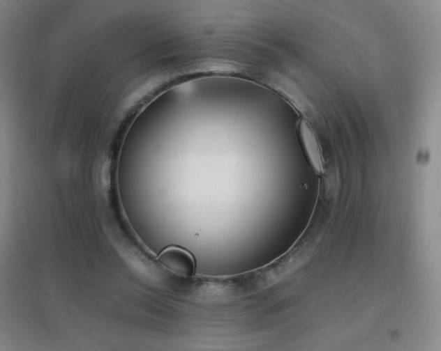 X0000096730350200802051445