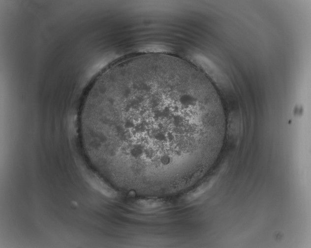 X0000096730351200802051445