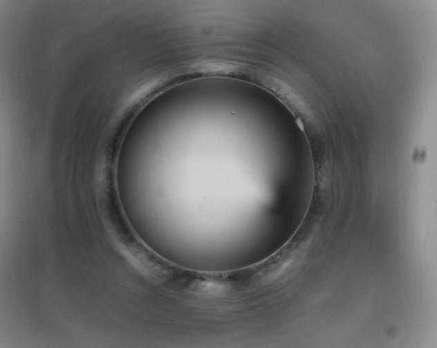 X0000096730352200802051445