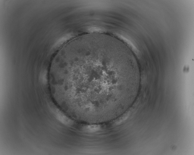 X0000096730353200802051445