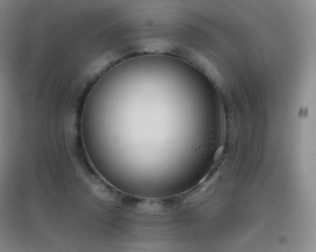 X0000096730354200802051445