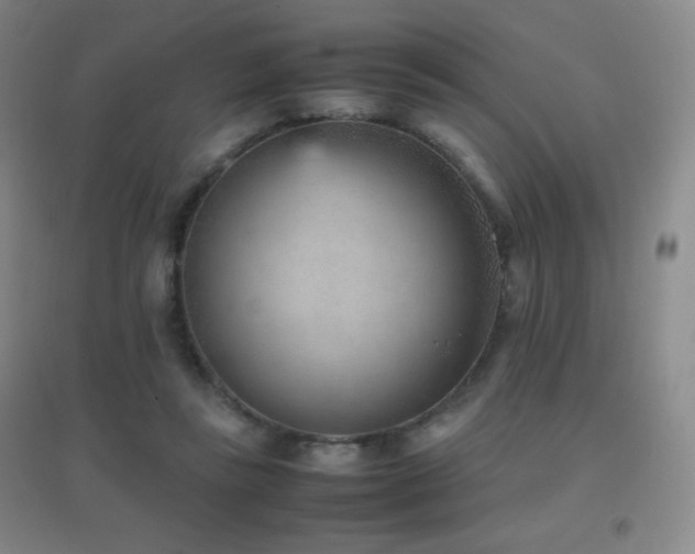 X0000096730355200802051445