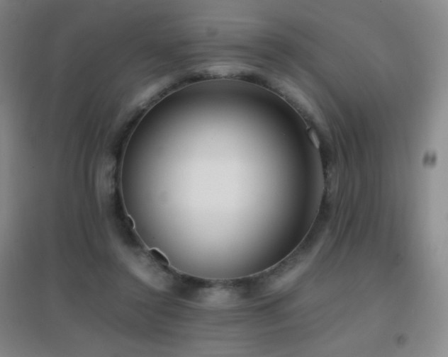 X0000096730356200802051445