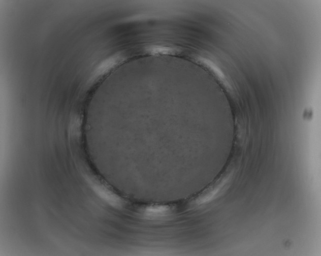 X0000096730357200802051446