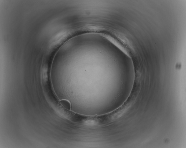 X0000096730358200802051446