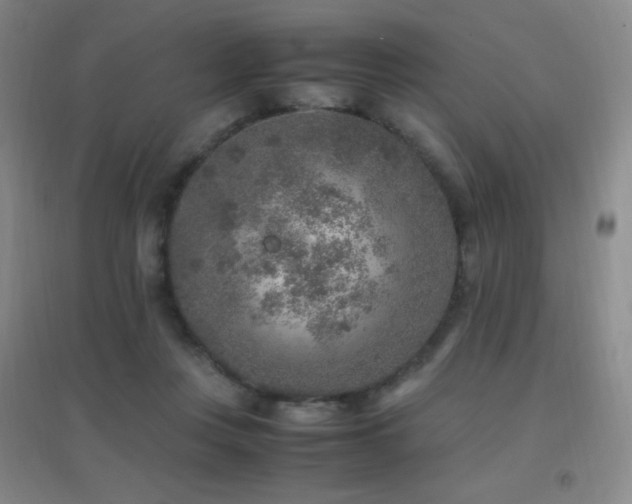 X0000096730359200802051446