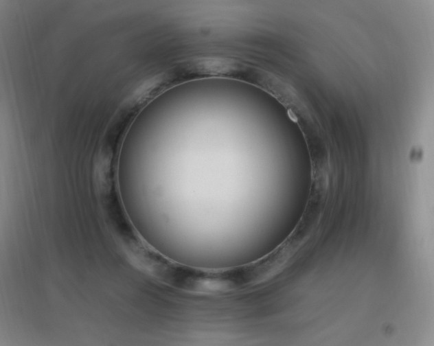 X0000096730360200802051446