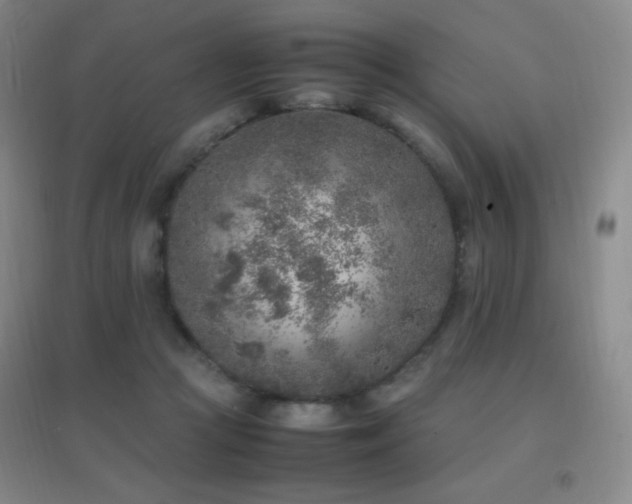X0000096730361200802051446