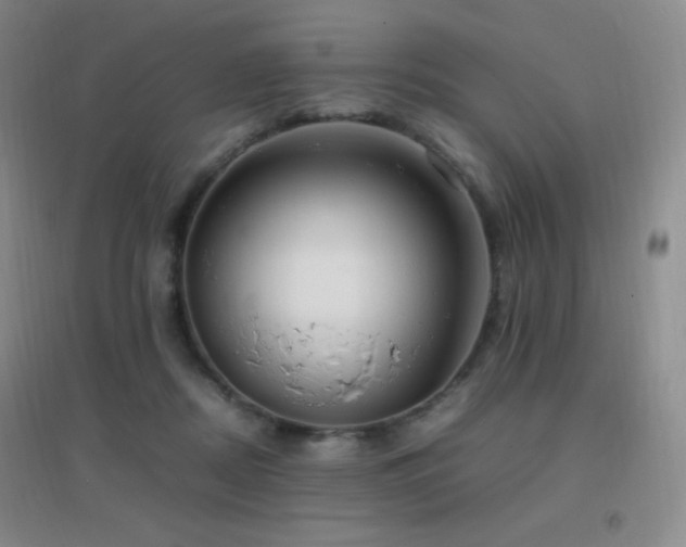X0000096730362200802051446