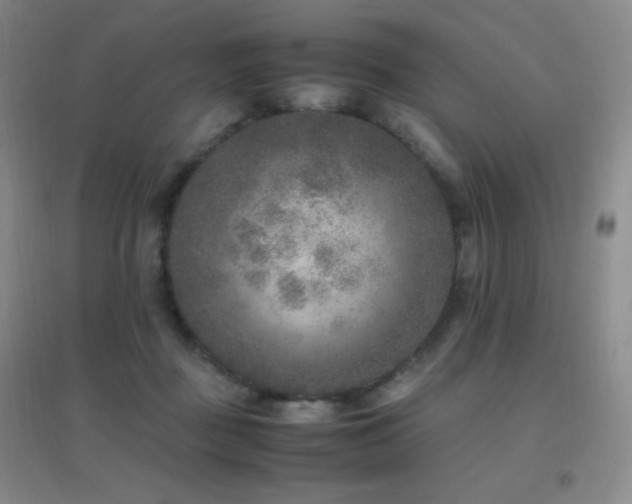 X0000096730363200802051446