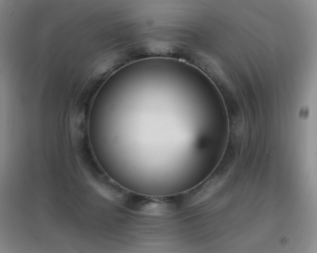 X0000096730364200802051446